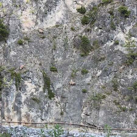 Apartamento Al Bait De Gio *