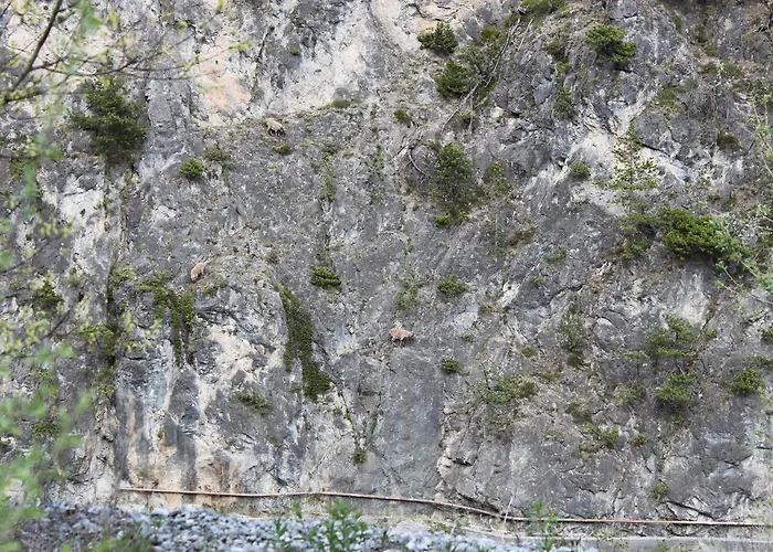 Apartamento Al Bait De Gio *